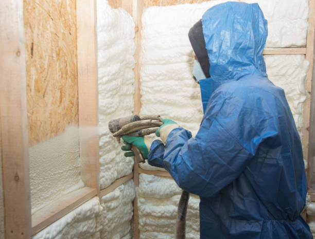 Best Eco-Friendly or Green Insulation Solutions  in Valencia, NM